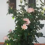 Casa Dos Pingos De Mel Frühstückspension 3*