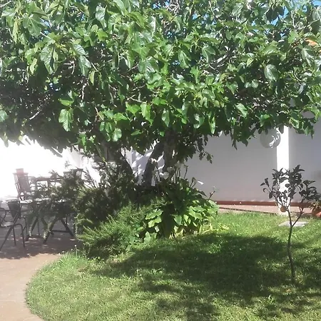 Casa Dos Pingos De Mel