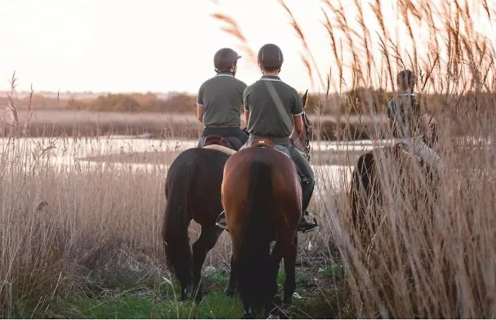 Frühstückspension Casa Dos Pingos De Mel Aveiro